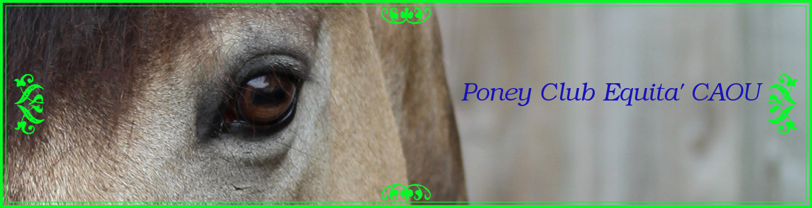                                                       Poney Club Equita' CAOU